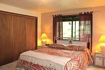 Hale Mauna Loa Upper Level With Shared Hot Tub Volcano 0*,  USA